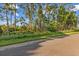 Beautiful piece of land covered in trees and greenery ready to be built on at 12449 Cruxbury Dr, Windermere, FL 34786