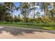 Beautiful piece of land covered in trees and greenery ready to be built on at 12449 Cruxbury Dr, Windermere, FL 34786