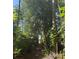 Trail with a glimpse of water, surrounded by lush greenery and trees at 14202 Nell Dr, Orlando, FL 32832