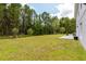 Expansive backyard with lush lawn and mature trees offers privacy and space for outdoor activities at 4064 Sunny Day Way, Kissimmee, FL 34744