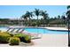A community pool with lounge chairs and palm trees offers a relaxing outdoor space at 667 Bay Leaf Dr, Kissimmee, FL 34759
