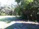 A partial view of the yard shows its potential with some clearing out the bamboo forest at 31429 Anna St, Deland, FL 32720