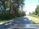 Quiet street view with lush greenery, showcasing a peaceful and serene neighborhood ambiance at 31429 Anna St, Deland, FL 32720