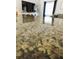 Close up of kitchen granite countertop in the living area at 1361 Sterling Oaks Dr, Casselberry, FL 32707