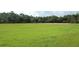 Expansive green field with soccer goals and a baseball diamond at 14130 Leicester Ln, Orlando, FL 32828