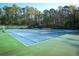 Wide shot of a pristine tennis court with surrounding trees at 14130 Leicester Ln, Orlando, FL 32828