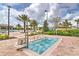 Relax in the community's sparkling hot tub surrounded by professional landscaping and palm trees at 1442 Moon Valley Dr, Davenport, FL 33896