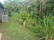 Secluded backyard with lush greenery offering privacy and natural beauty at 679 Midori St, Orlando, FL 32811