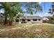 Spacious backyard with mature trees, offering a private outdoor space at 116 Morning Glory Dr, Lake Mary, FL 32746