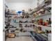Walk-in pantry with wire shelving providing ample storage space for food and household items at 1270 Fountain Coin Loop, Orlando, FL 32828