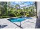 Screened-in pool with brick paver deck, surrounded by tropical landscaping at 1717 Fountainhead Dr, Lake Mary, FL 32746