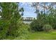 A wooded backyard view looks out onto the beautiful lake from this property at 17860 Passionflower Cir, Clermont, FL 34714