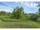 Scenic landscape view featuring lush greenery, tall trees, and serene lake backdrop at 17860 Passionflower Cir, Clermont, FL 34714