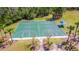 Aerial view featuring a full basketball court and shaded picnic area surrounded by palm trees at 2031 Gloria Oak Ct, Orlando, FL 32820