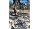 Secure fenced area with tree providing shade at 4805 Sw 171St Ct, Dunnellon, FL 34432