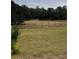 Fenced pasture with lush greenery and surrounding trees at 4805 Sw 171St Ct, Dunnellon, FL 34432