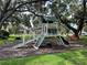 Community playground featuring a slide, swing, and climbing area for enjoyment surrounded by green space at 813 Lancer Cir, Ocoee, FL 34761