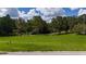 Picture of a vacant lot with lush green grass, tall trees, and cloudy skies at 9517 San Fernando Ct, Howey In The Hills, FL 34737