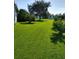 Grassy backyard featuring well-maintained lawn, mature trees, and privacy shrubs at 1425 Hollyberry Pl, The Villages, FL 32162