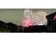 Community fireworks display lighting up the night sky, offering a spectacular view for residents at 15071 Guava Bay Dr, Winter Garden, FL 34787