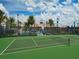Well-maintained tennis court surrounded by lush palm trees, offering a scenic spot for outdoor recreation at 15071 Guava Bay Dr, Winter Garden, FL 34787