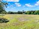 Expansive grassy property under a bright blue sky with scattered trees in the distance at 187 N Samsula Dr, New Smyrna Beach, FL 32168
