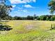 A view of the wide open land available on this property at 187 N Samsula Dr, New Smyrna Beach, FL 32168