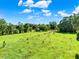 View of the grassy acreage available with mature trees on a sunny day at 187 N Samsula Dr, New Smyrna Beach, FL 32168