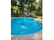 Private in-ground pool surrounded by landscaped backyard with mature trees at 2320 Ne 43Rd St, Ocala, FL 34479