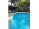 Sparkling in-ground pool surrounded by lush greenery, creating a private outdoor oasis at 2320 Ne 43Rd St, Ocala, FL 34479