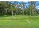 A verdant backyard with mature palm trees and lush greenery, offering a serene and private outdoor space at 708 Duffer Ln, Kissimmee, FL 34759