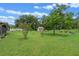 Expansive backyard featuring lush green grass, mature trees, and a charming storage shed at 708 Duffer Ln, Kissimmee, FL 34759