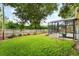 Spacious backyard with well-maintained lawn, landscaped garden, and screened-in pool area at 165 Fig Tree Run, Longwood, FL 32750