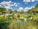 Backyard pond reflecting the home surrounded by trees, grass, and reeds and other aquatic vegetation at 706 Lynn Ave, New Smyrna Beach, FL 32168