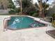 Inviting pool and spa area in a private backyard setting with tropical plants at 8647 Black Mesa Dr, Orlando, FL 32829