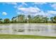 Picturesque pond scene with lily pads under a partly cloudy blue sky at 8752 Lookout Pointe Dr, Windermere, FL 34786