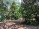 Serene backyard scene featuring mature trees providing ample shade for outdoor enjoyment at 200 W Doane Ave, Eustis, FL 32726