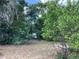Lush backyard with mature trees and vegetation creates a secluded and private outdoor space at 200 W Doane Ave, Eustis, FL 32726