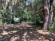Backyard featuring mature trees with filtered sunlight, creating a peaceful and private outdoor retreat at 200 W Doane Ave, Eustis, FL 32726