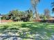 Expansive backyard featuring lush grass, mature trees, and a stylish wooden fence at 611 S Montgomery Ave, Deland, FL 32720