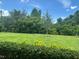 Lush green backyard with manicured hedges, offering a private and serene outdoor space at 1166 Heron Sound Dr, Apopka, FL 32703