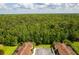Aerial view overlooking the lush treetops and expansive landscape of the community at 2662 Roadster Ln, Kissimmee, FL 34746