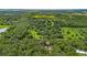 A beautiful wooded property with lush trees at 7838 Sloewood Dr, Mount Dora, FL 32757