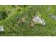 Aerial shot of property showcasing its location among trees and the driveway at 7838 Sloewood Dr, Mount Dora, FL 32757