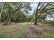 Large backyard featuring mature trees and a wooden fence, perfect for outdoor activities at 7838 Sloewood Dr, Mount Dora, FL 32757