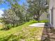 This backyard features green grass, mature trees, a concrete patio and stepping stones at 1602 Presidio Dr, Clermont, FL 34711