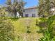 This backyard features green grass, mature trees, and a serene natural setting at 1602 Presidio Dr, Clermont, FL 34711
