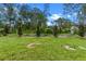 Spacious, newly planted backyard with healthy green grass and healthy trees at 1765 9Th Ave, Deland, FL 32724
