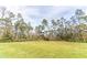 Expansive green backyard bordered by mature trees, offering privacy and space for outdoor activities at 18623 Tunbridge St, Orlando, FL 32833
