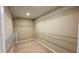 Walk-in closet with carpet, white wire shelving, and neutral paint at 6221 Argent Wood Dr, Winter Garden, FL 34787